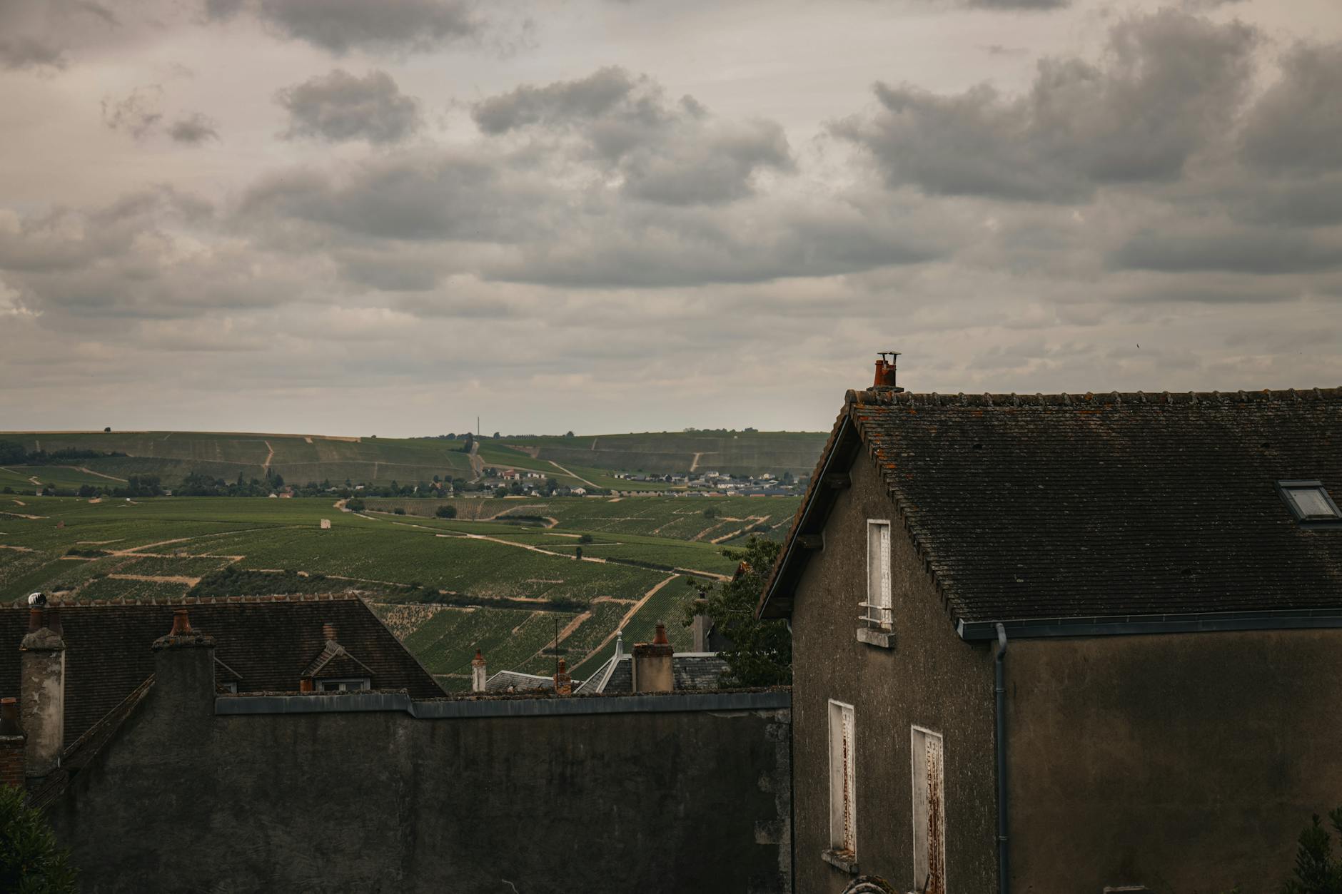 Top 5 Day Trips from Paris: How to Get There and What to Expect ToursZoom Champagne vineyards rolling toward Reims Cathedral in the background
