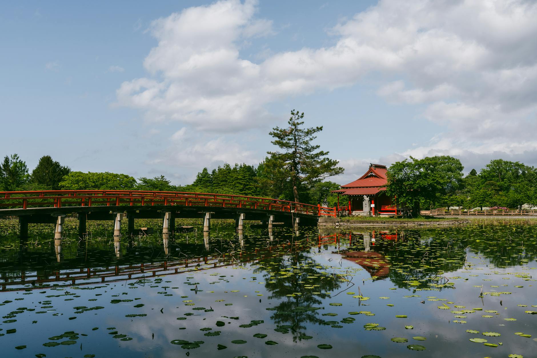 Top 5 Day Trips from Paris: How to Get There and What to Expect ToursZoom Monet's Japanese bridge and water lily pond at Giverny in full bloom