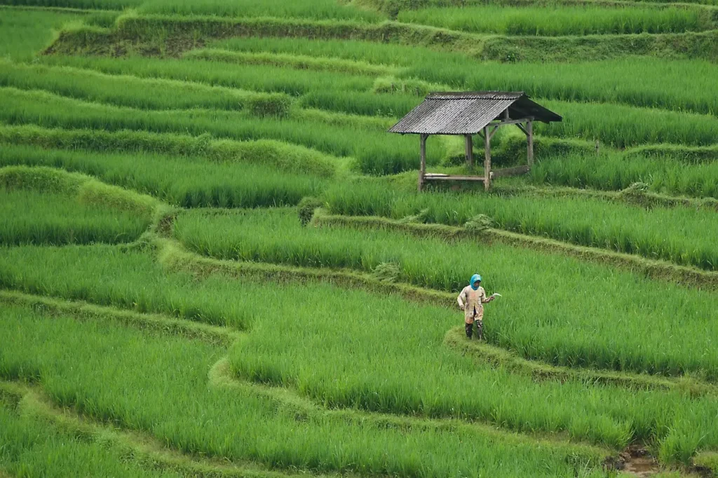 Cycling through satoyama country roads on Sado Island, Niigata