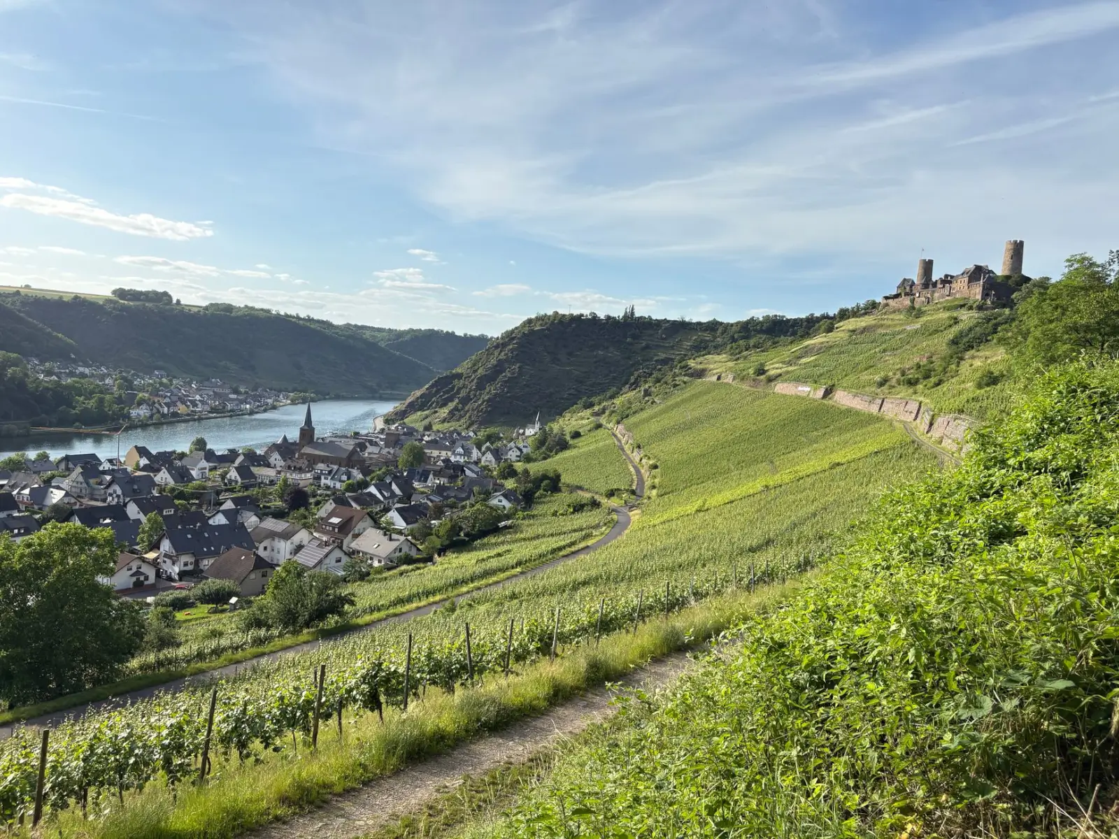 Castle ruins along the Rhine River, surrounded by lush vineyards and picturesque villages